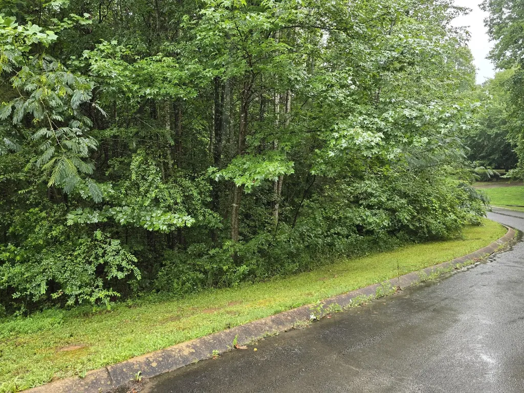 0 Big Cedar Drive Dunlap TN 37327