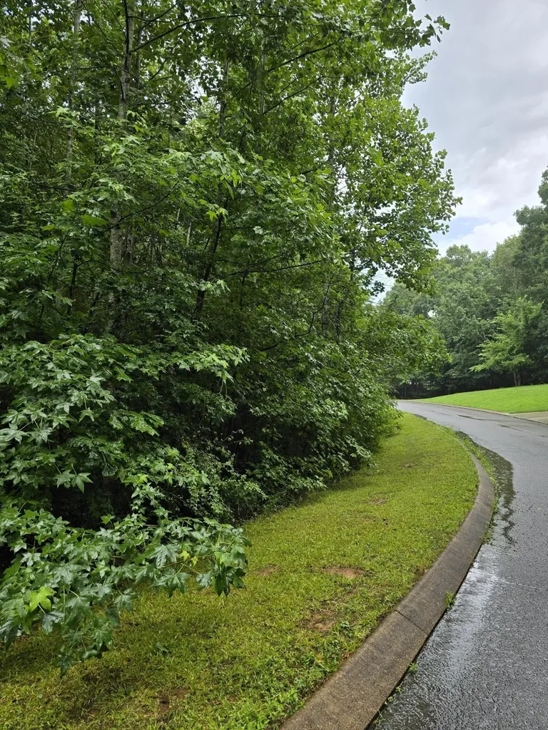0 Big Cedar Drive Dunlap TN 37327