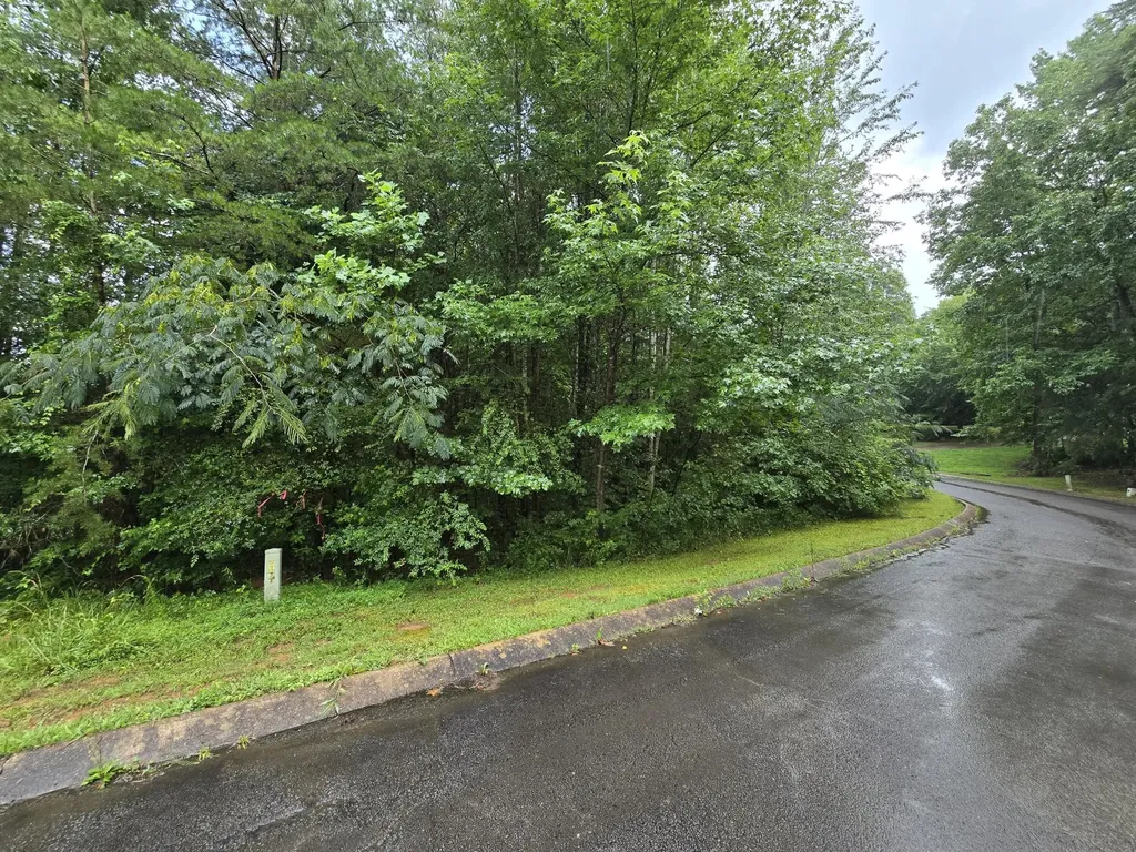 0 Big Cedar Drive Dunlap TN 37327