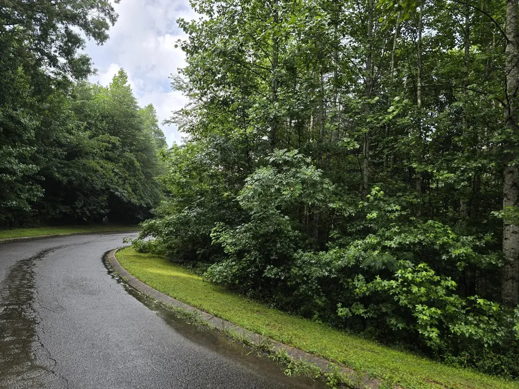 0 Big Cedar Drive Dunlap TN 37327