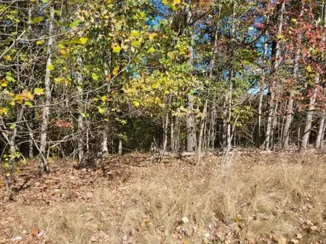580 Preservation Drive South Pittsburg TN 37380
