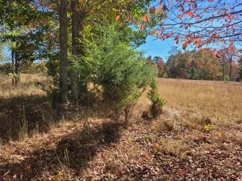 580 Preservation Drive South Pittsburg TN 37380