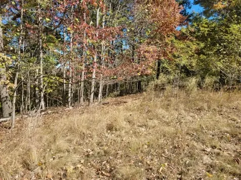580 Preservation Drive South Pittsburg TN 37380