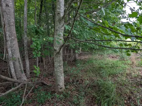 580 Preservation Drive South Pittsburg TN 37380