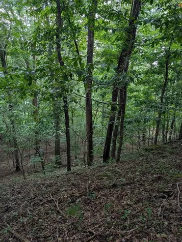 580 Preservation Drive South Pittsburg TN 37380