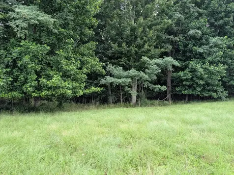 580 Preservation Drive South Pittsburg TN 37380