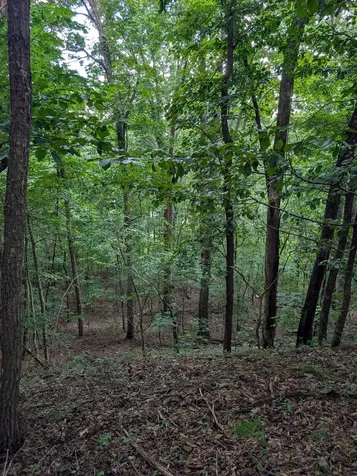 580 Preservation Drive South Pittsburg TN 37380