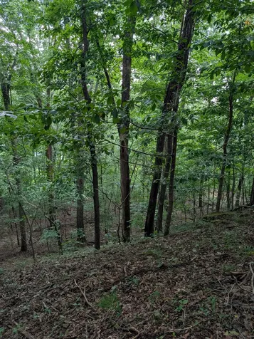 580 Preservation Drive South Pittsburg TN 37380