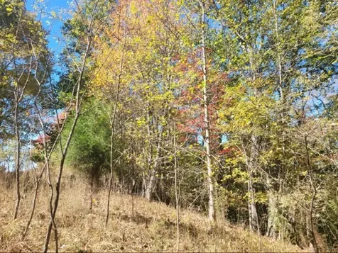 580 Preservation Drive South Pittsburg TN 37380