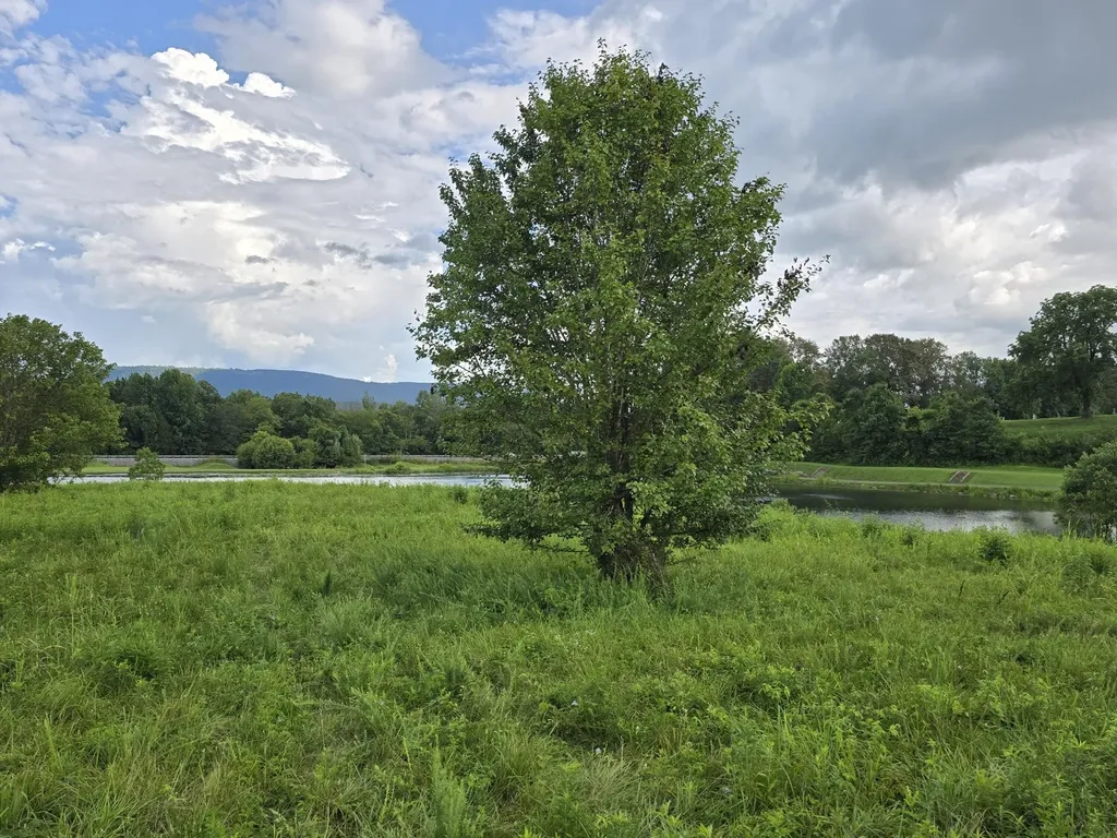 1 Spring Lake Drive Dunlap TN 37327