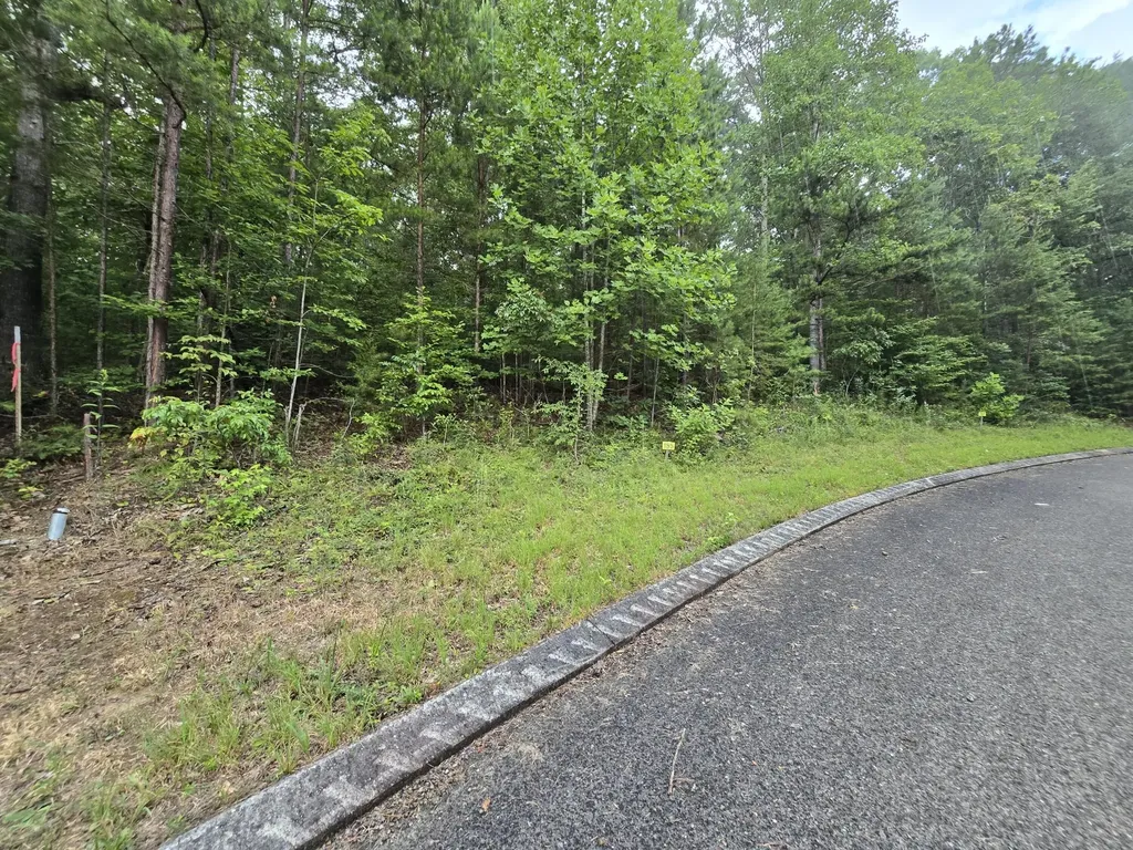 155 Lower Brow Road Dunlap TN 37327