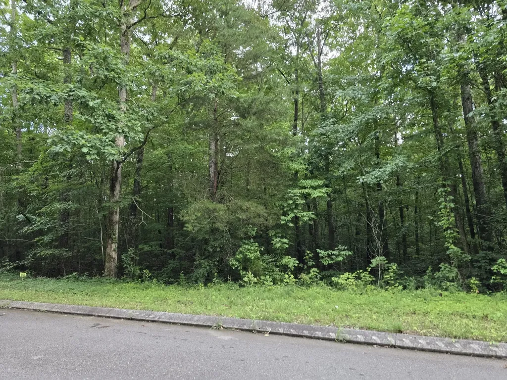 144 Lower Brow Road Dunlap TN 37327