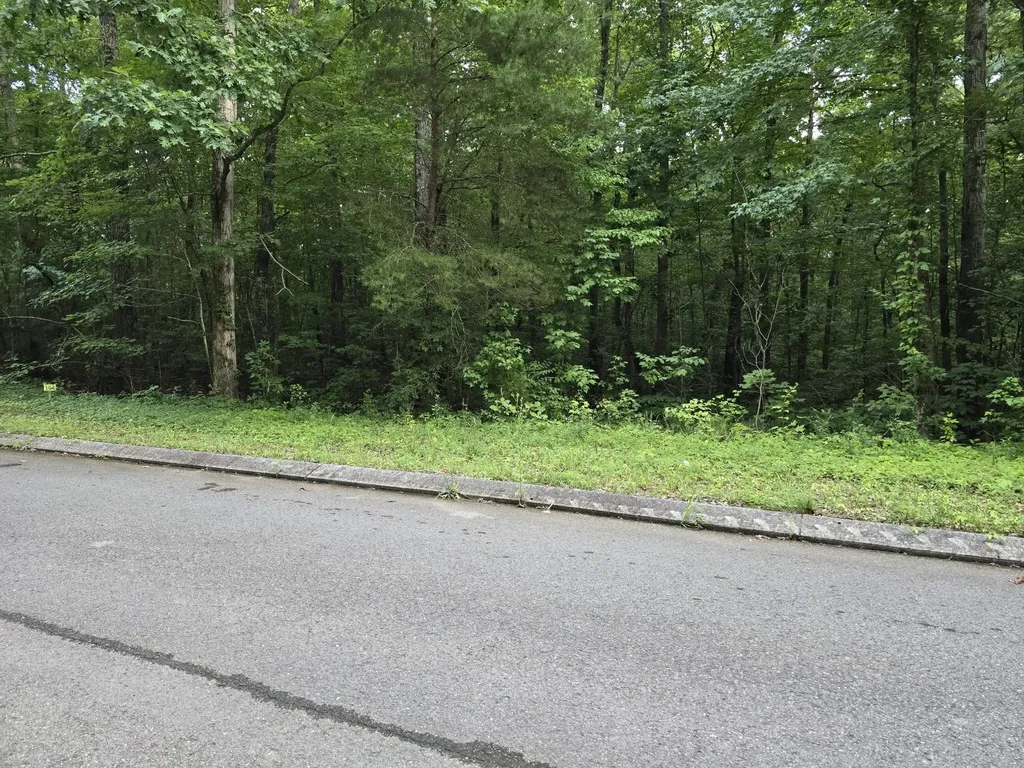 144 Lower Brow Road Dunlap TN 37327