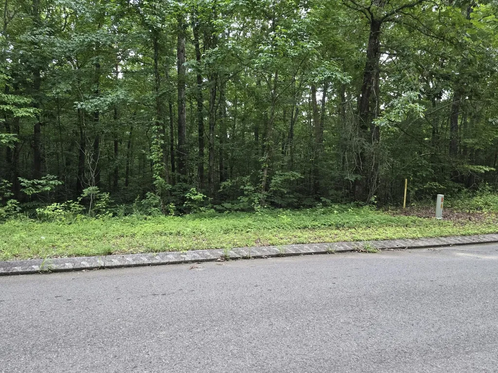 144 Lower Brow Road Dunlap TN 37327