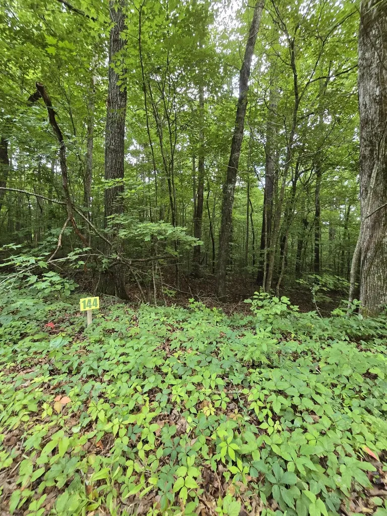 144 Lower Brow Road Dunlap TN 37327