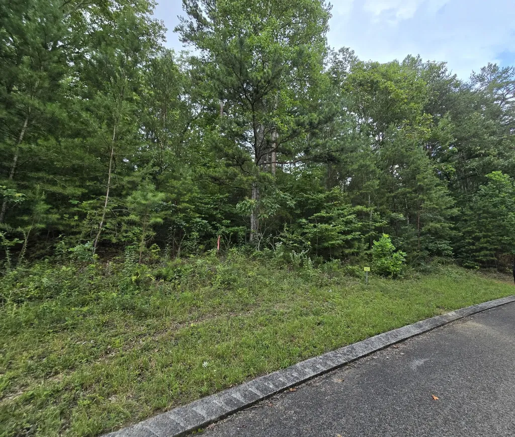 157 Lower Brow Road Dunlap TN 37327