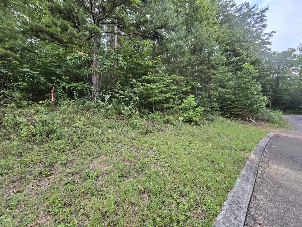 157 Lower Brow Road Dunlap TN 37327