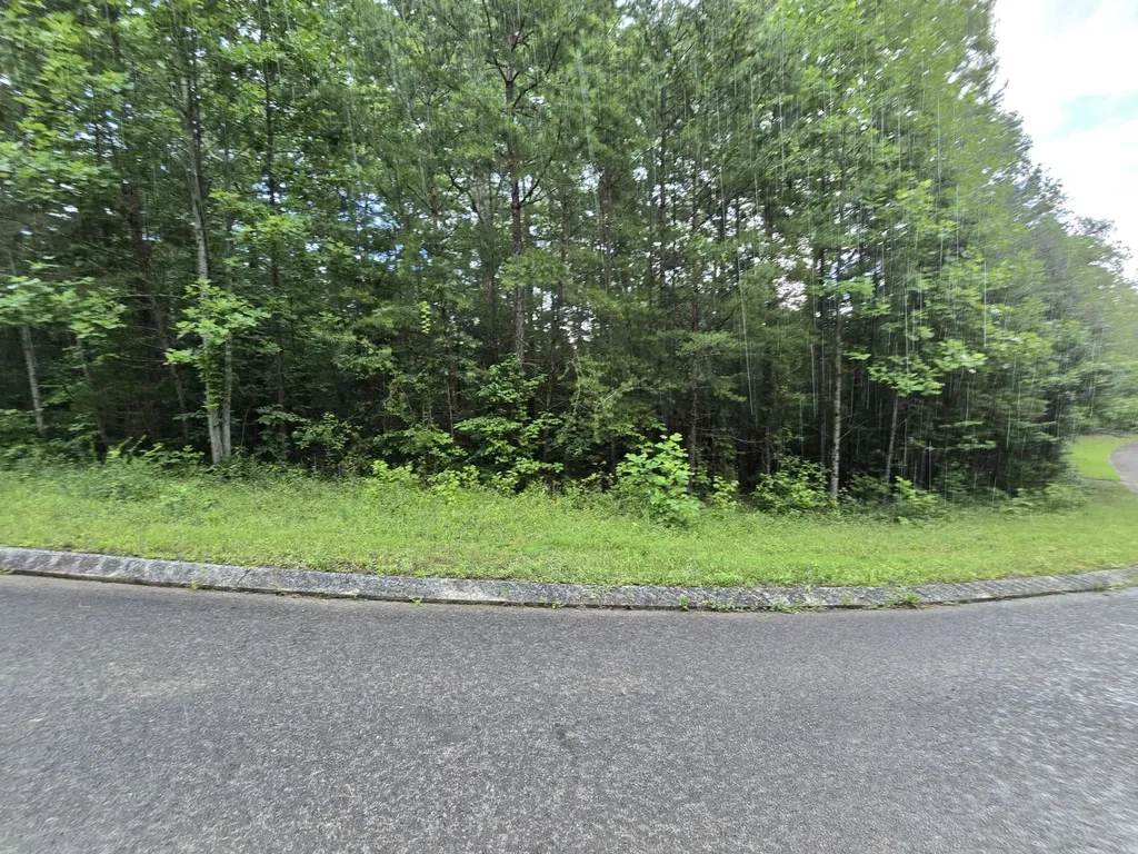 156 Lower Brow Road Dunlap TN 37327
