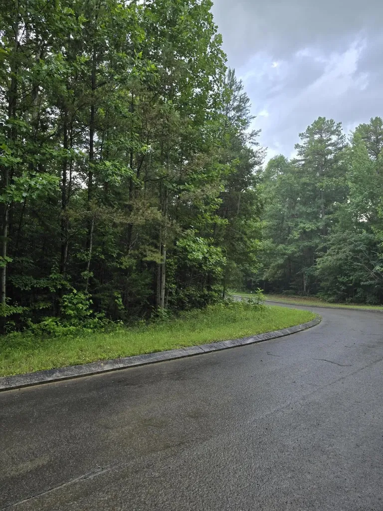 156 Lower Brow Road Dunlap TN 37327