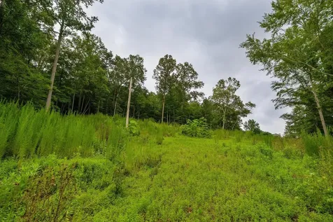 3646 Prospect Church Road Apison TN 37302