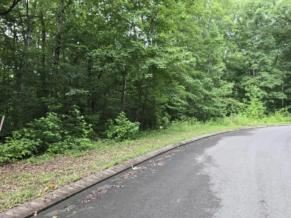 141 Lower Brow Road Dunlap TN 37327