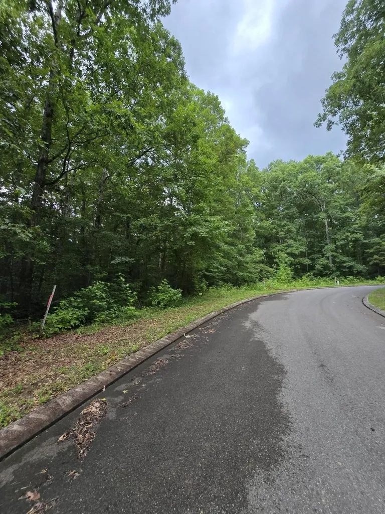 141 Lower Brow Road Dunlap TN 37327