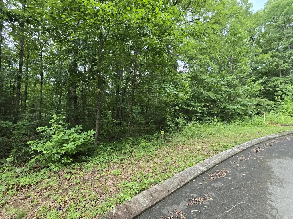 141 Lower Brow Road Dunlap TN 37327