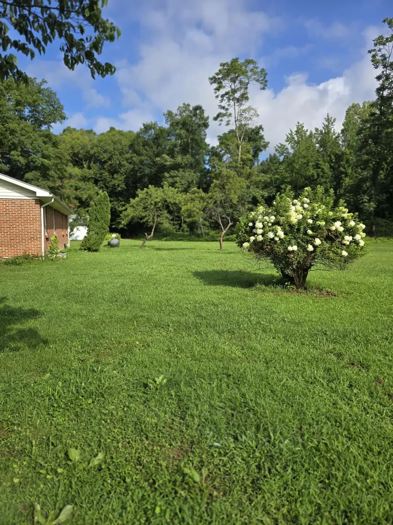 6117 Hills Creek Road Mc Minnville TN 37110