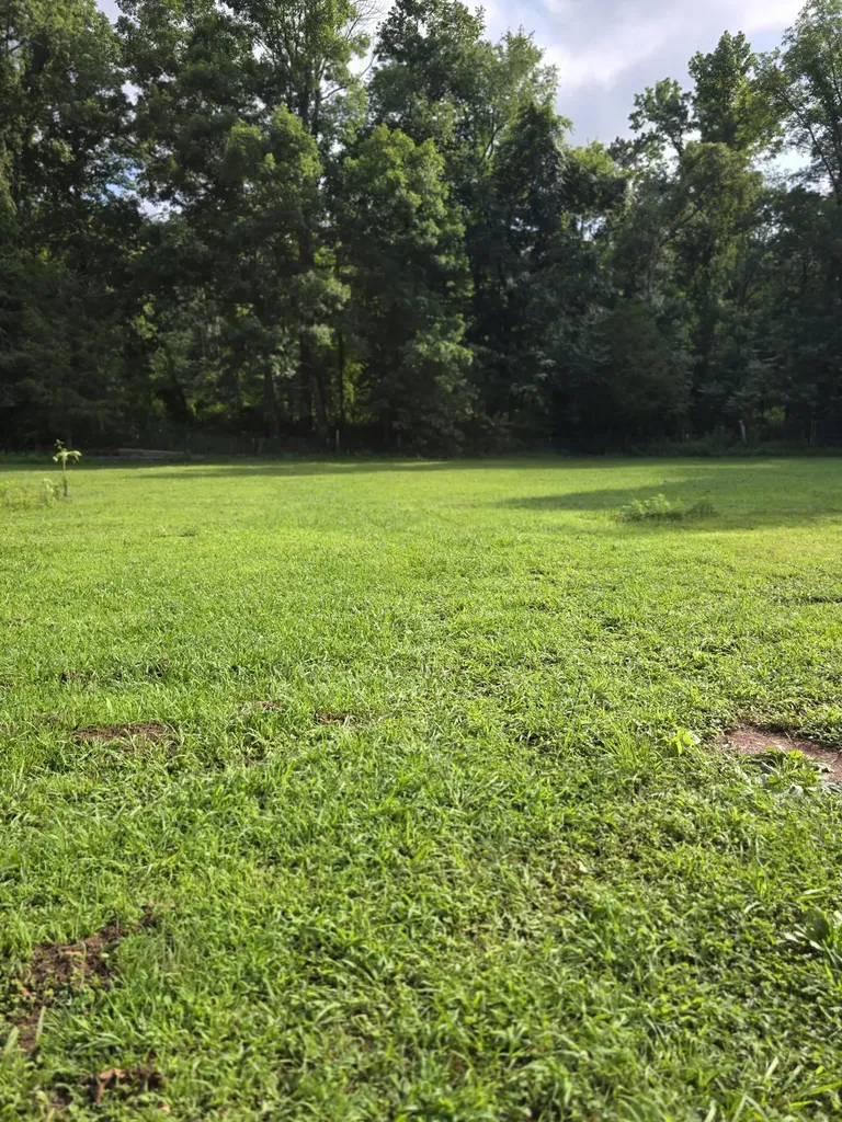 6117 Hills Creek Road Mc Minnville TN 37110