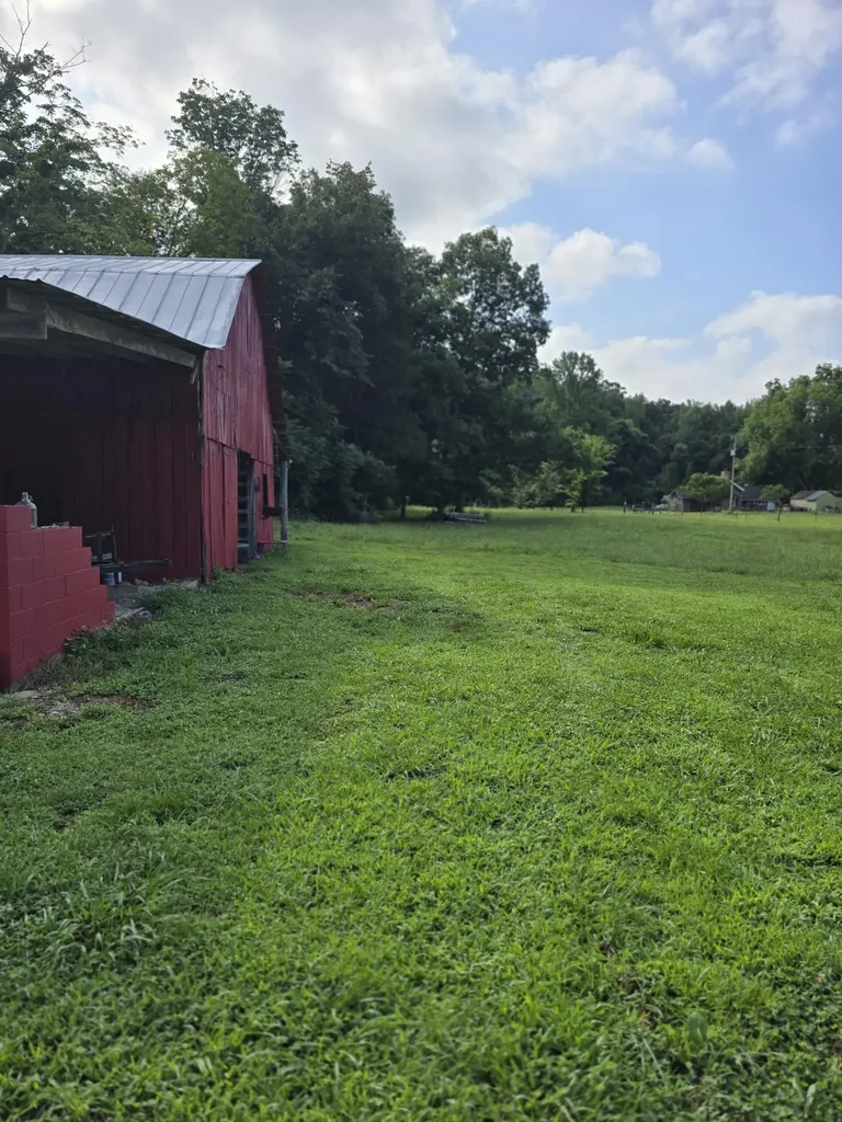 6117 Hills Creek Road Mc Minnville TN 37110