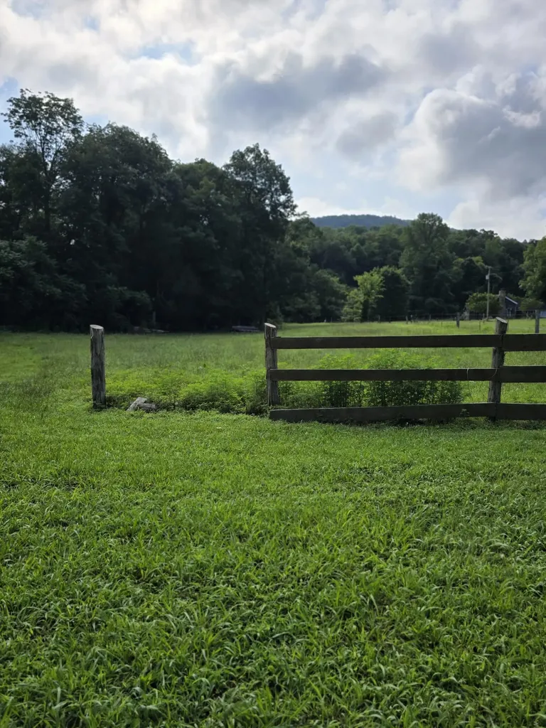 6117 Hills Creek Road Mc Minnville TN 37110