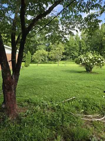 6117 Hills Creek Road Mc Minnville TN 37110
