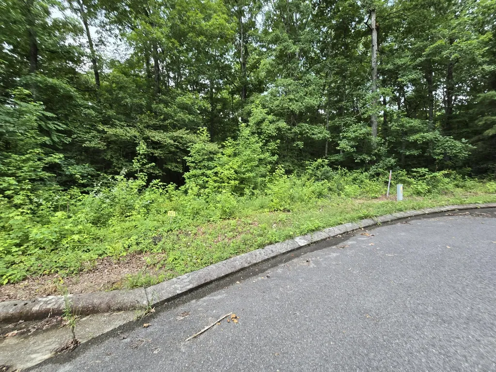 142 Lower Brow Road Dunlap TN 37327