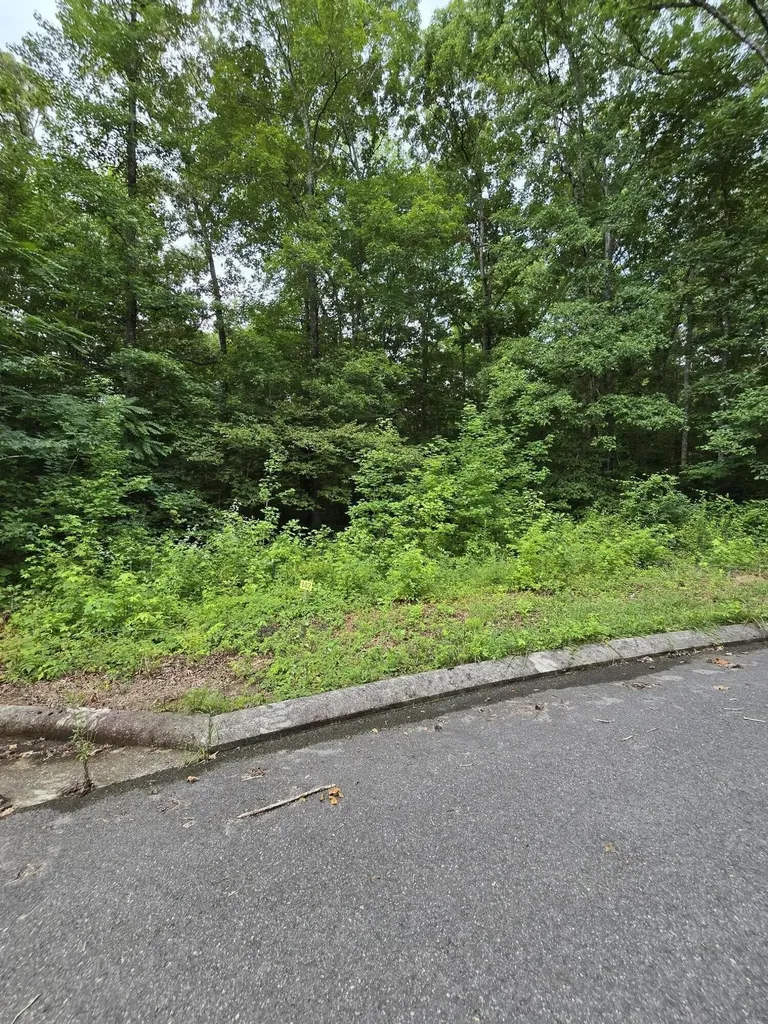 142 Lower Brow Road Dunlap TN 37327
