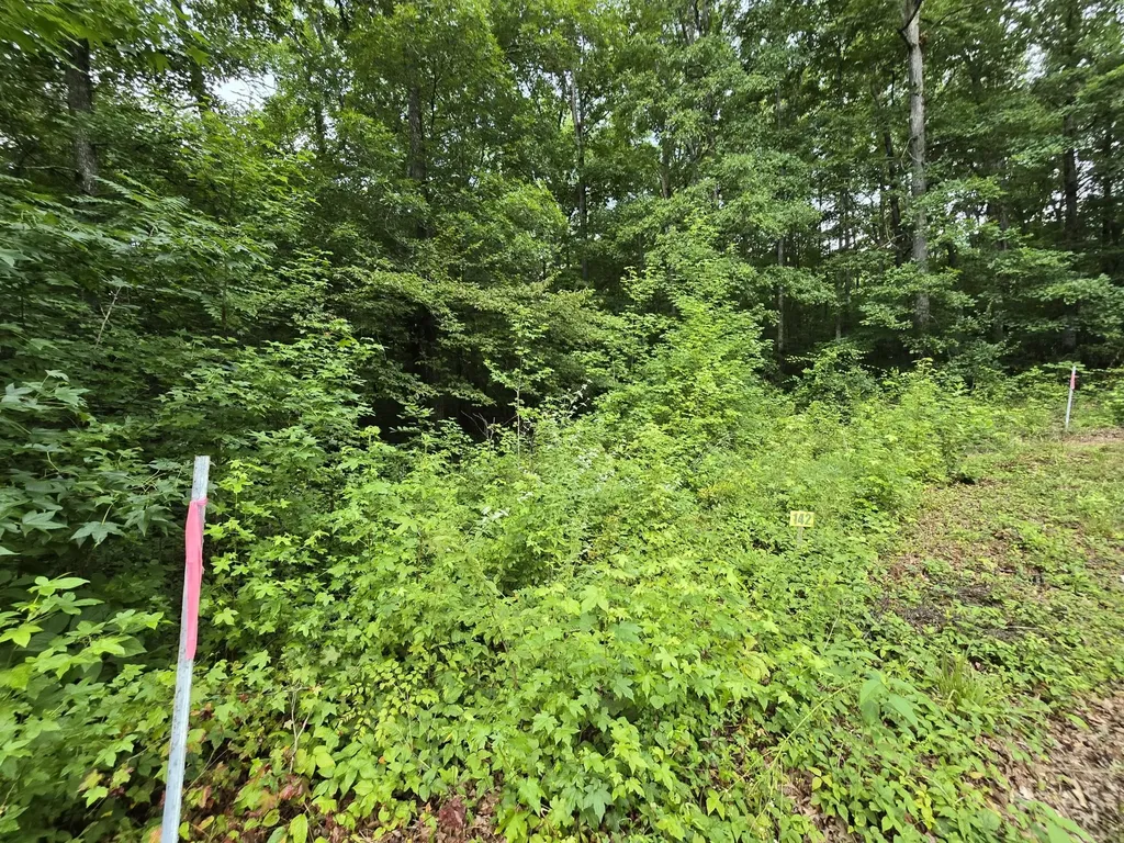 142 Lower Brow Road Dunlap TN 37327