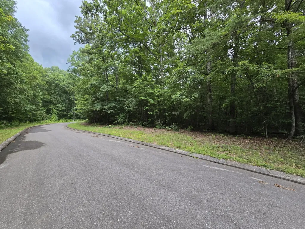 140 Lower Brow Road Dunlap TN 37327