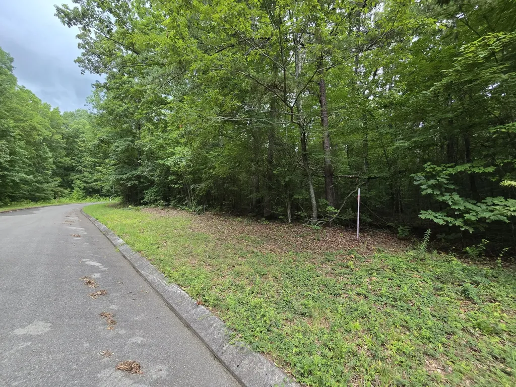 140 Lower Brow Road Dunlap TN 37327