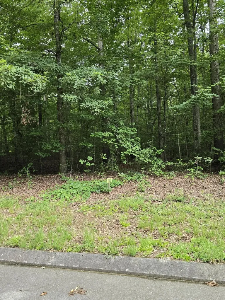 140 Lower Brow Road Dunlap TN 37327