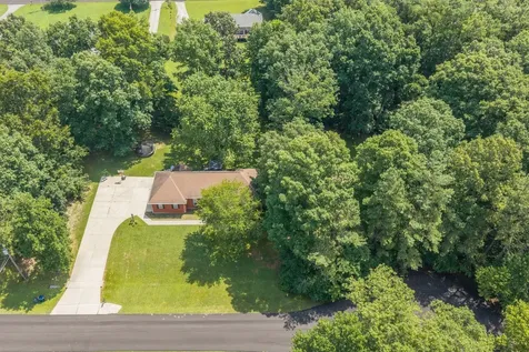 1033 Johnston Drive White Bluff TN 37187
