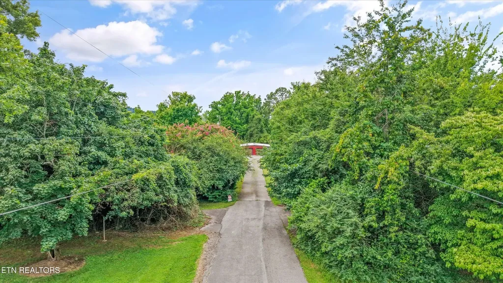 6733 Alkison Lane Knoxville TN 37931