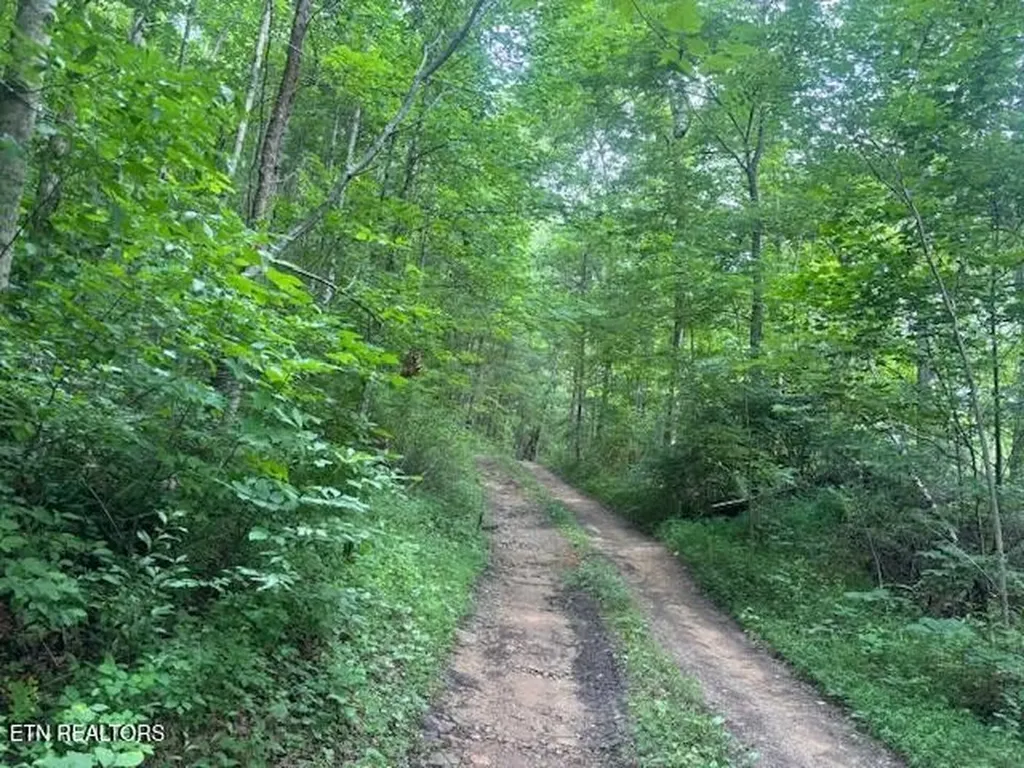 171 Kirkland Drive Crossville TN 38555