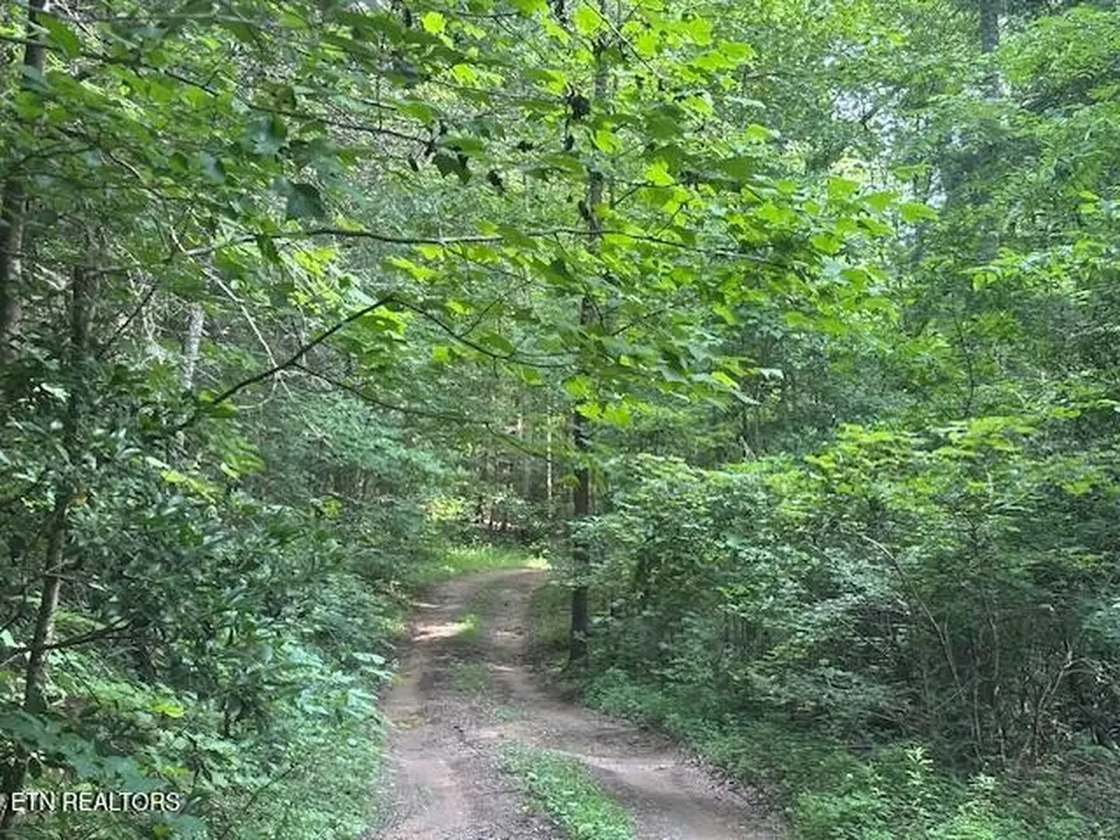 171 Kirkland Drive Crossville TN 38555