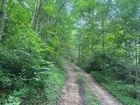 171 Kirkland Drive Crossville TN 38555