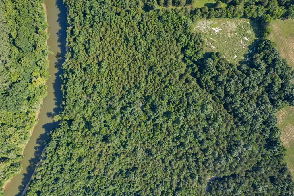 2141 Carpenter Bridge Road Columbia TN 38401