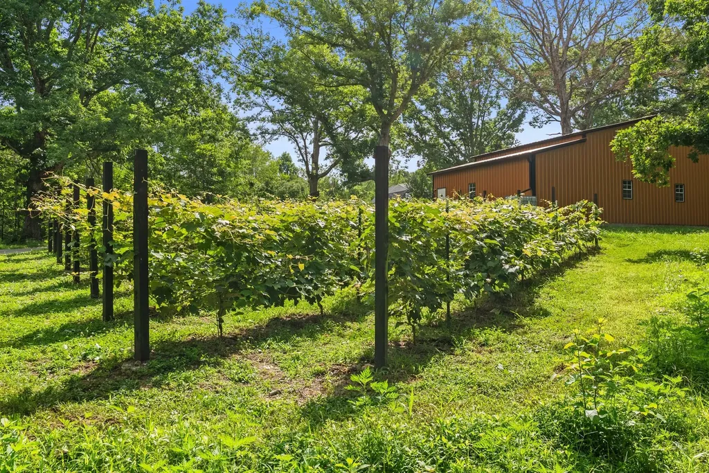 7362 Walker Road Fairview TN 37062