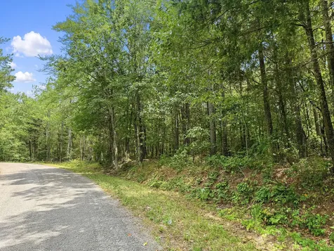0 Highway 22a Lexington TN 38351