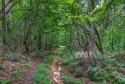0 Eagle Cliff Road Monteagle TN 37356