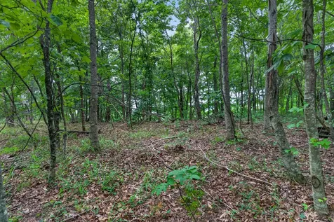0 Eagle Cliff Road Monteagle TN 37356