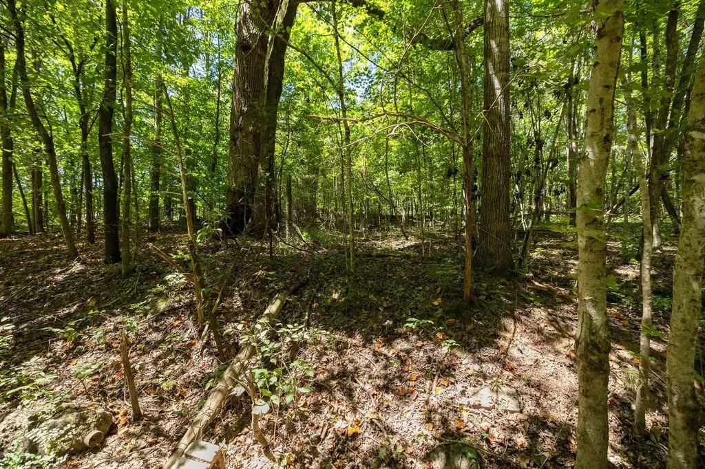 0 Shapiro Trail Columbia TN 38401