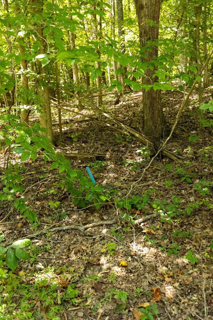 0 Shapiro Trail Columbia TN 38401